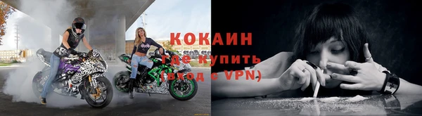 гашик Кулебаки