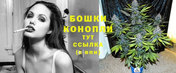гашик Кулебаки