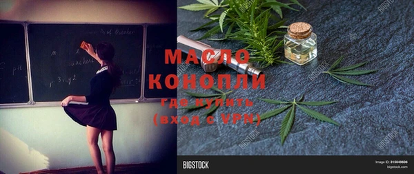 гашик Кулебаки